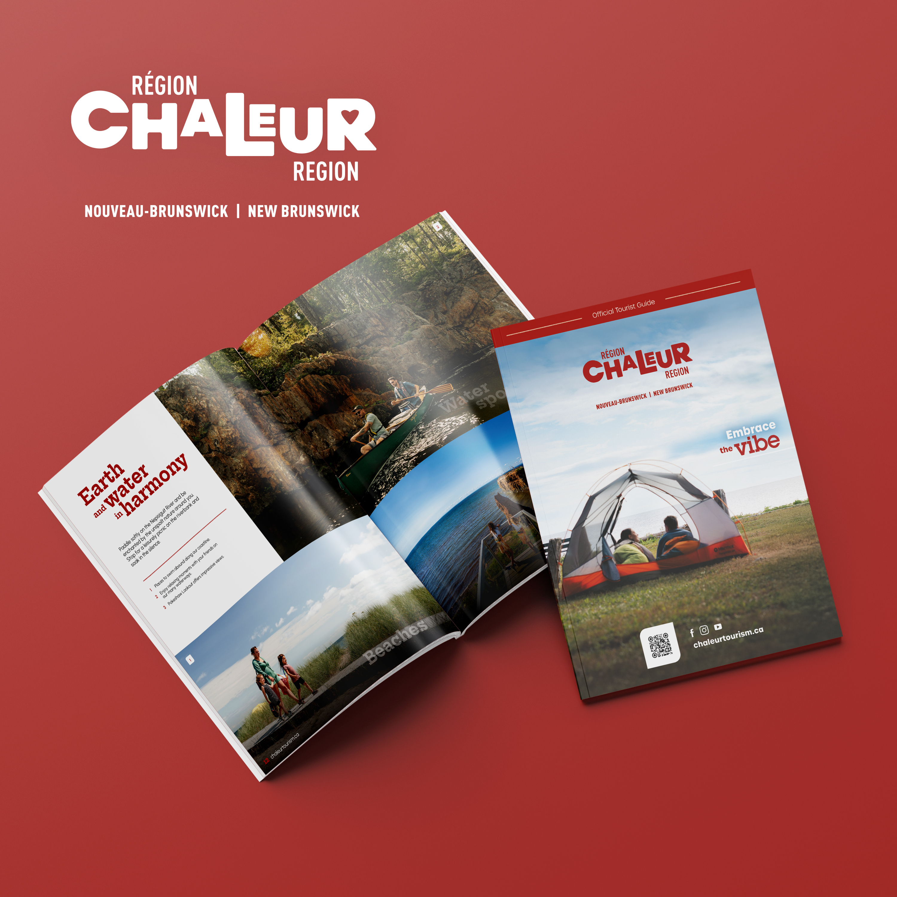 Download your free guide