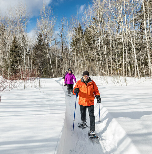 Escapade d’hiver : la raquette dans tous ses états
