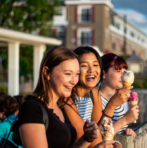 Où déguster une crème glacée dans la région Chaleur